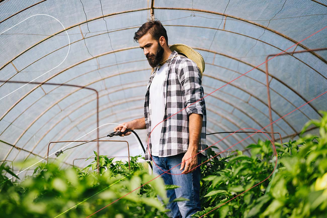 Defensivos agrícolas: preparando o armazém para produtos químicos